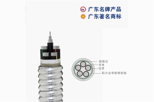 珠江電線機構(gòu)倡導服務品質(zhì)全方位加強